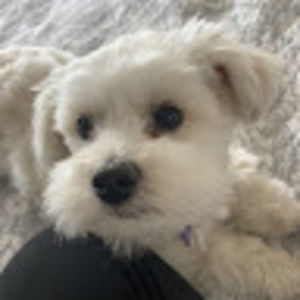 Meet your Posher, Caroline